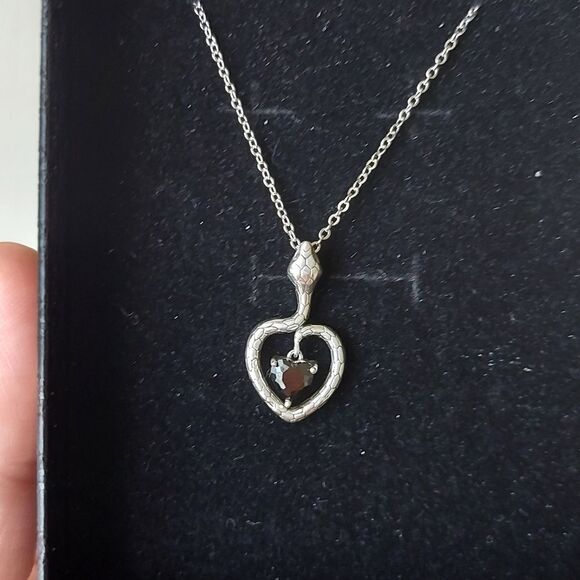 Elegant Silver Snake Heart Necklace - Picture 12 of 12